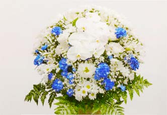 洋花 2